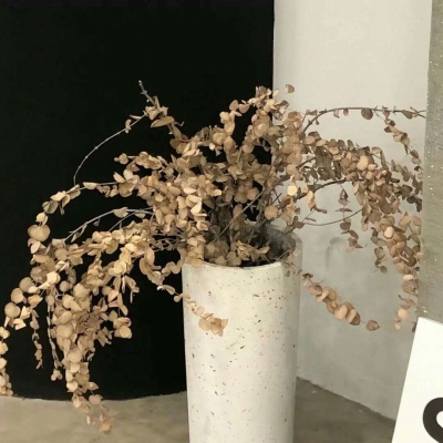 Furry绘画动态灵感福瑞交流群